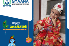 Janmashtami Celebration
